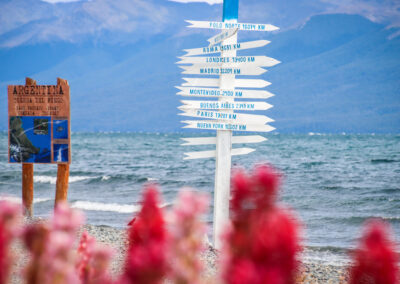 Poster with destination arrows and out-of-focus red flowers in front
